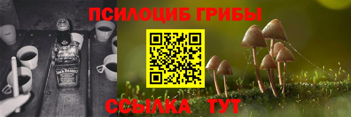 Галлюциногенные грибы Cubensis Новый Уренгой
